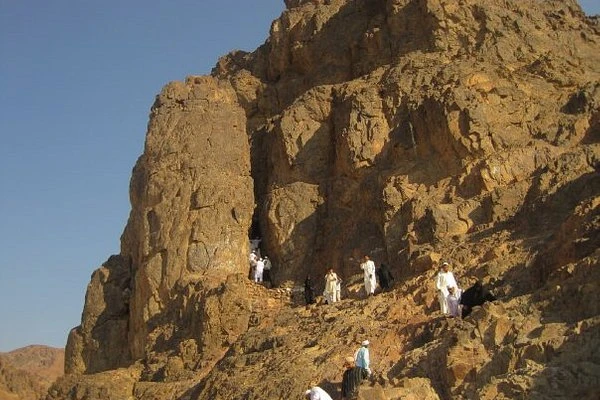 Gallery 8